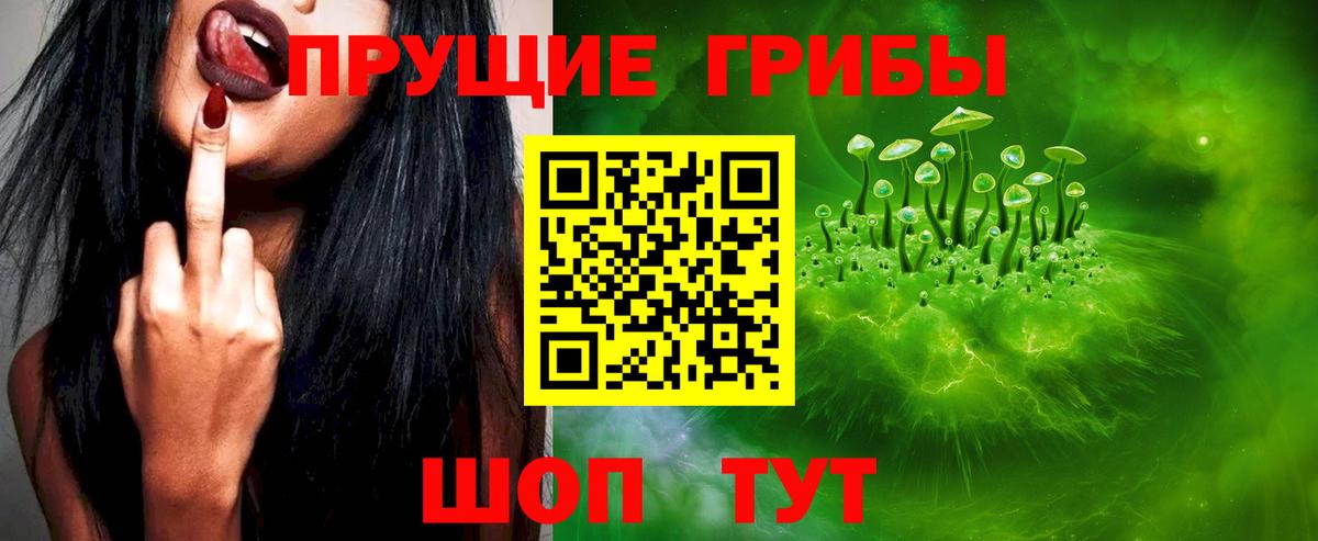 Галлюциногенные грибы Cubensis Белогорск